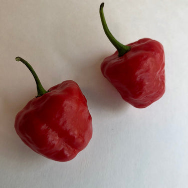 Aji Cachucha - Seeds - The Pepper Pantry (Formerly Marie Sharp's)